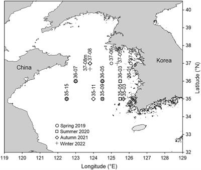 Seasonal and developmental variation in feeding by the copepod Calanus sinicus in the Yellow Sea